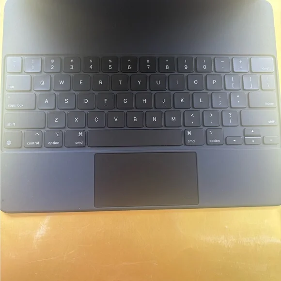 Apple Dark Gray iPad Cover